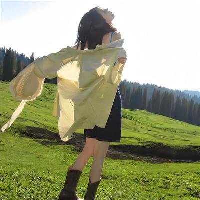 尼斯巨龙